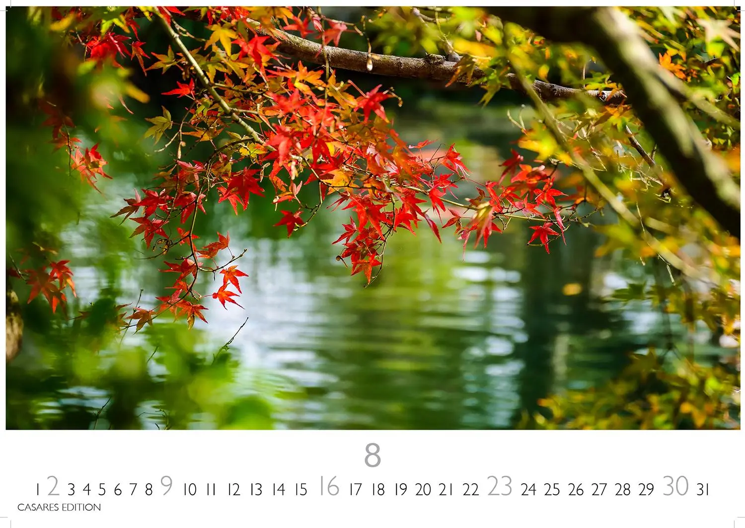 Bild: 9781835245590 | Japanische Gärten 2026 L 35x50cm | Kalender | 14 S. | Deutsch | 2026