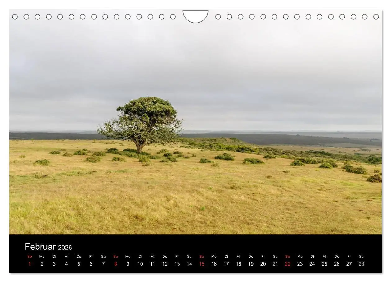 Bild: 9783516025590 | Unterwegs in Südafrika 2026 (Wandkalender 2026 DIN A4 quer),...