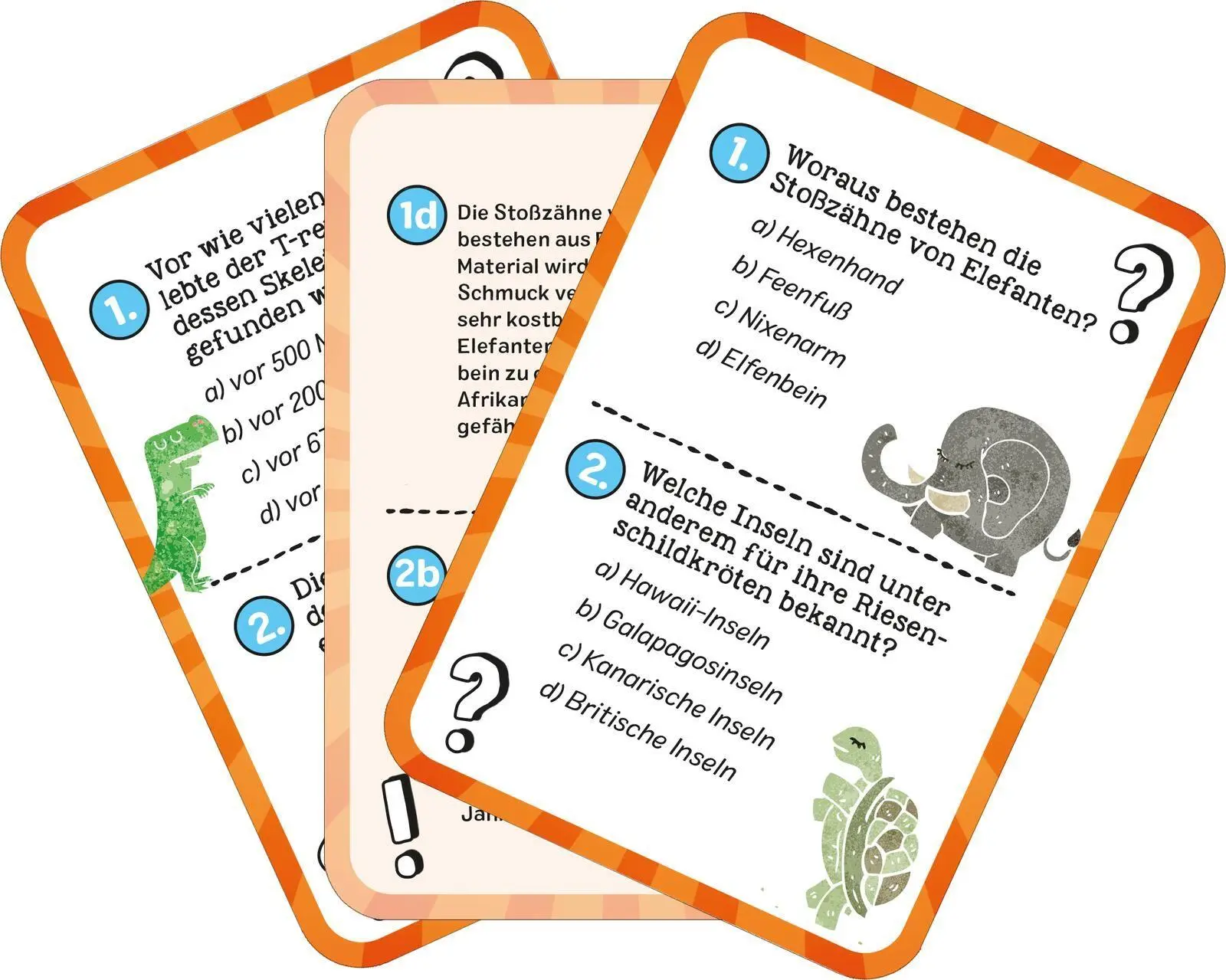 Bild: 9783845865690 | Das wilde Tier-Quiz | Philip Kiefer | Taschenbuch | Quiz-Kartenboxen