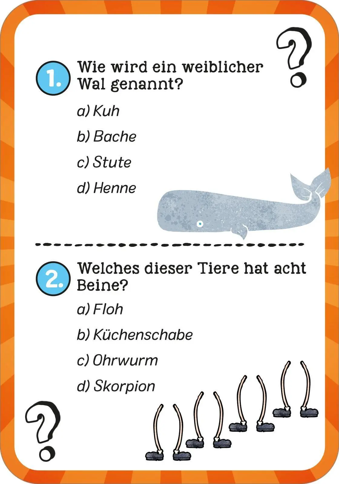 Bild: 9783845865690 | Das wilde Tier-Quiz | Philip Kiefer | Taschenbuch | Quiz-Kartenboxen