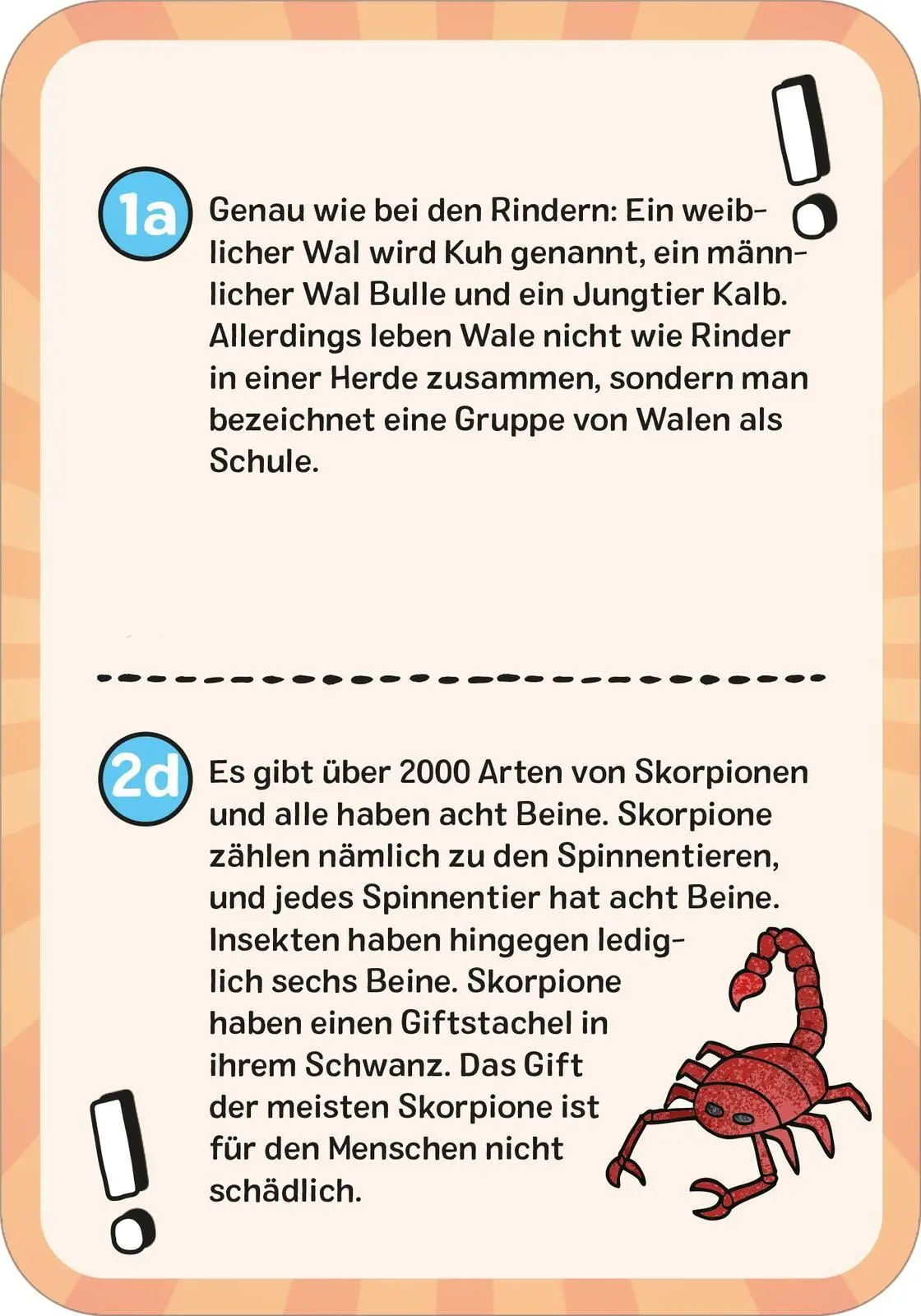 Bild: 9783845865690 | Das wilde Tier-Quiz | Philip Kiefer | Taschenbuch | Quiz-Kartenboxen