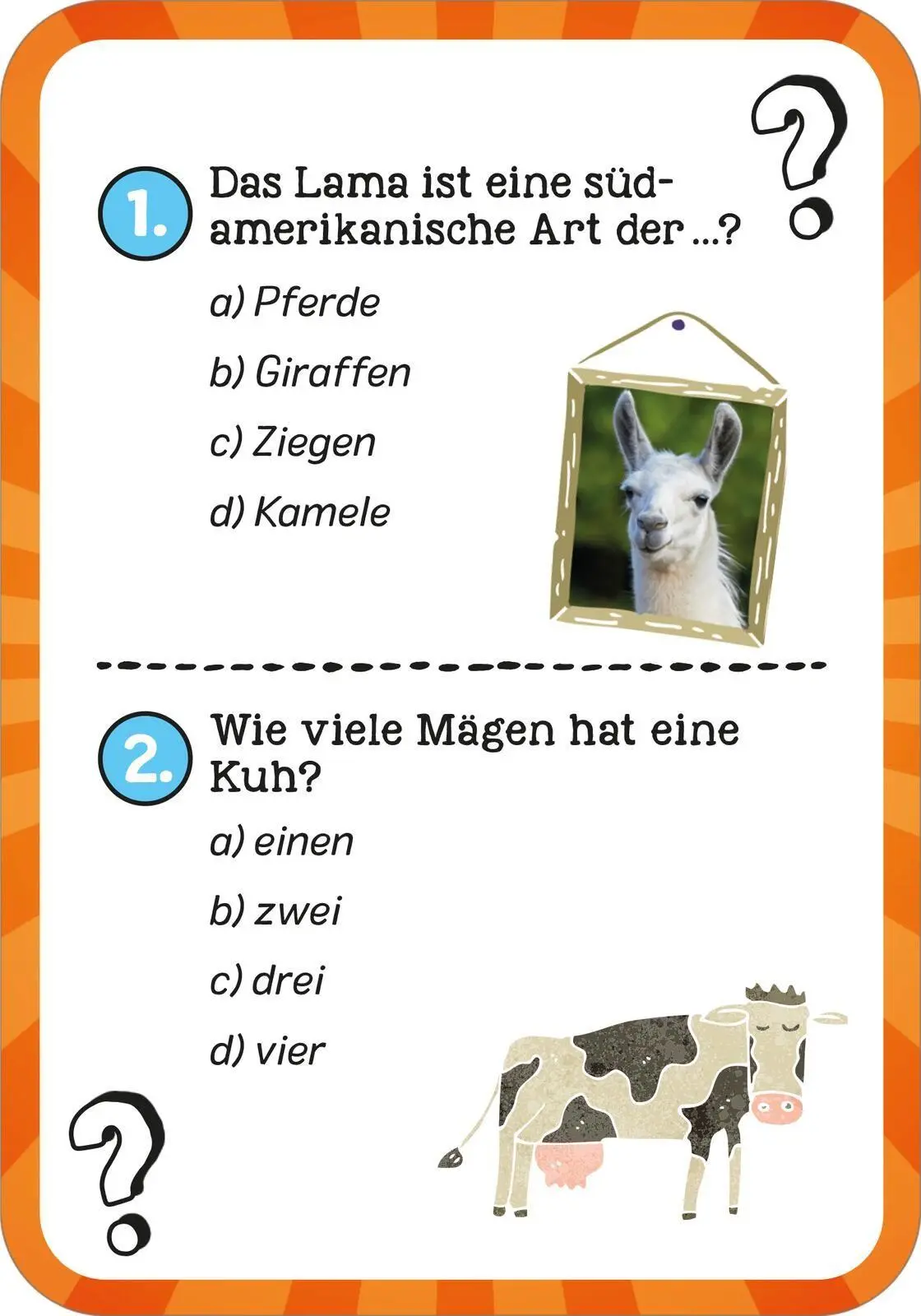 Bild: 9783845865690 | Das wilde Tier-Quiz | Philip Kiefer | Taschenbuch | Quiz-Kartenboxen