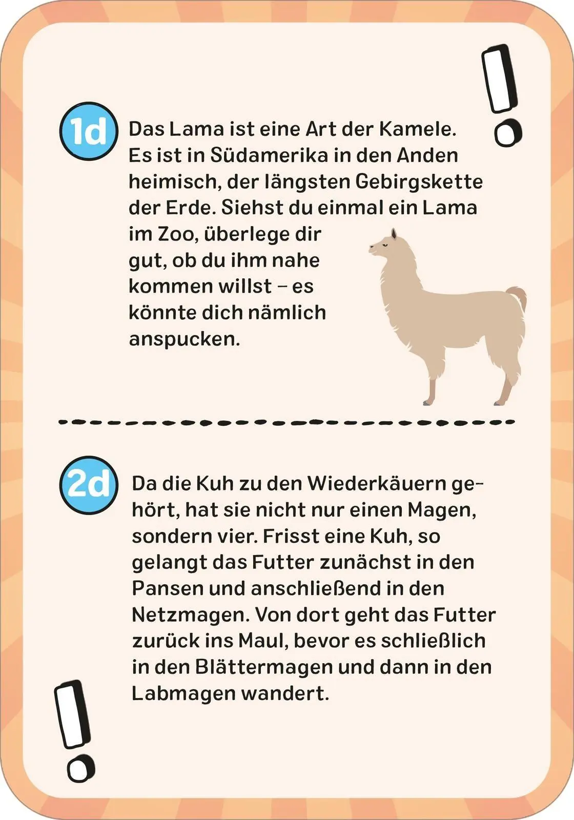 Bild: 9783845865690 | Das wilde Tier-Quiz | Philip Kiefer | Taschenbuch | Quiz-Kartenboxen