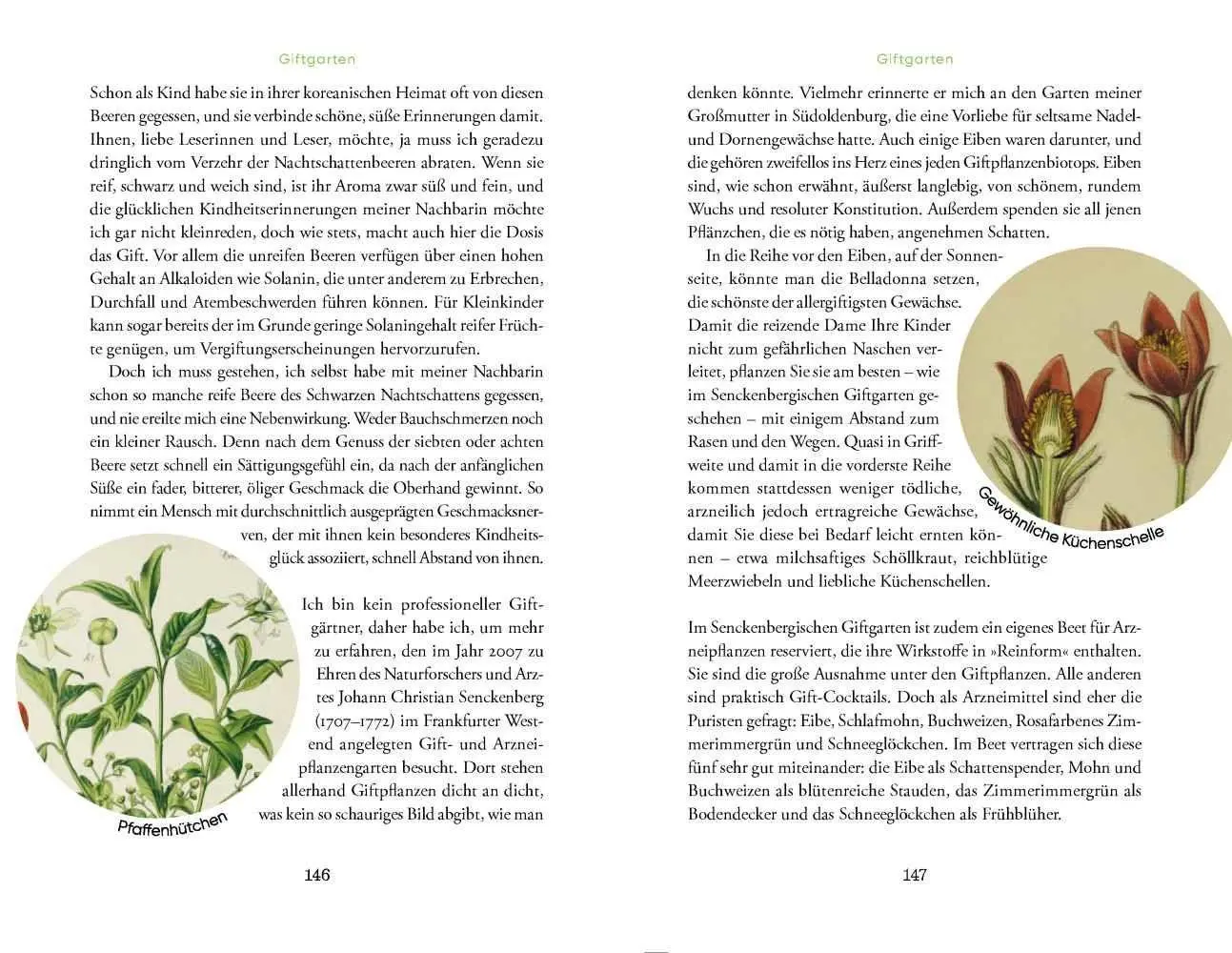 Bild: 9783957285690 | Heilsam bis tödlich | Jan Grossarth | Buch | 208 S. | Deutsch | 2022