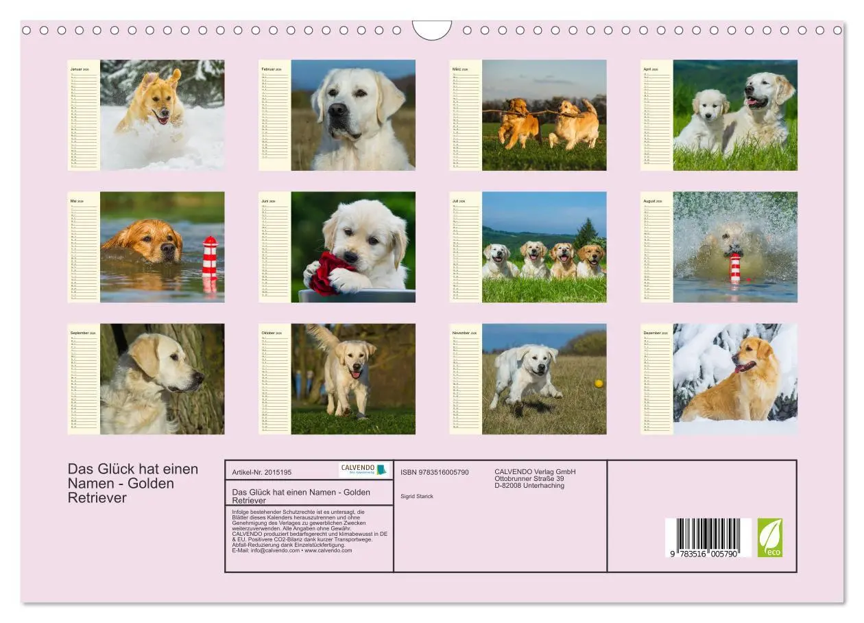 Bild: 9783516005790 | Das Glück hat einen Namen - Golden Retriever (Wandkalender 2026 DIN...