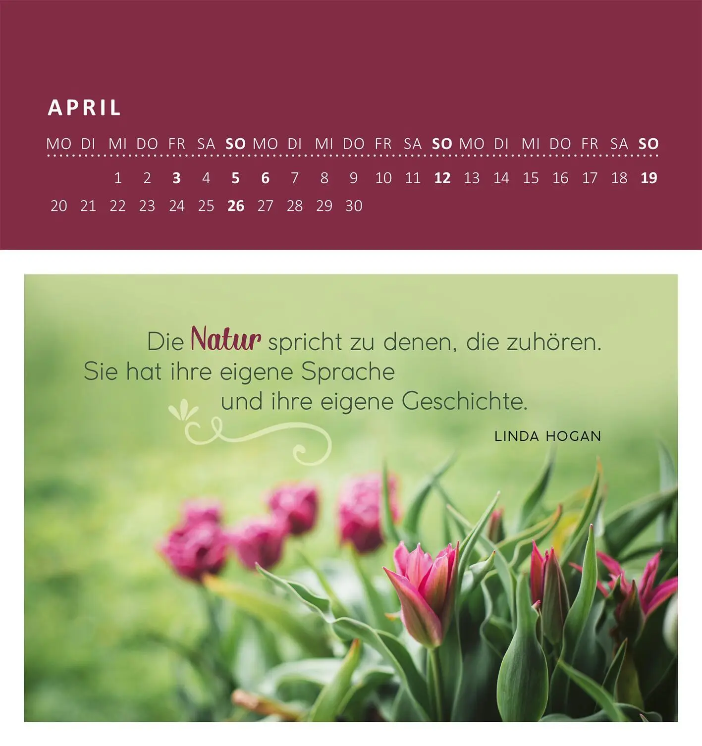 Bild: 4014489135890 | Wandkalender Gartenglück 2026 | Kalender | 26 S. | Deutsch | 2026