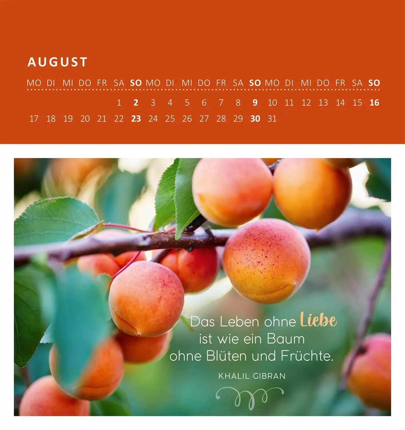 Bild: 4014489135890 | Wandkalender Gartenglück 2026 | Kalender | 26 S. | Deutsch | 2026