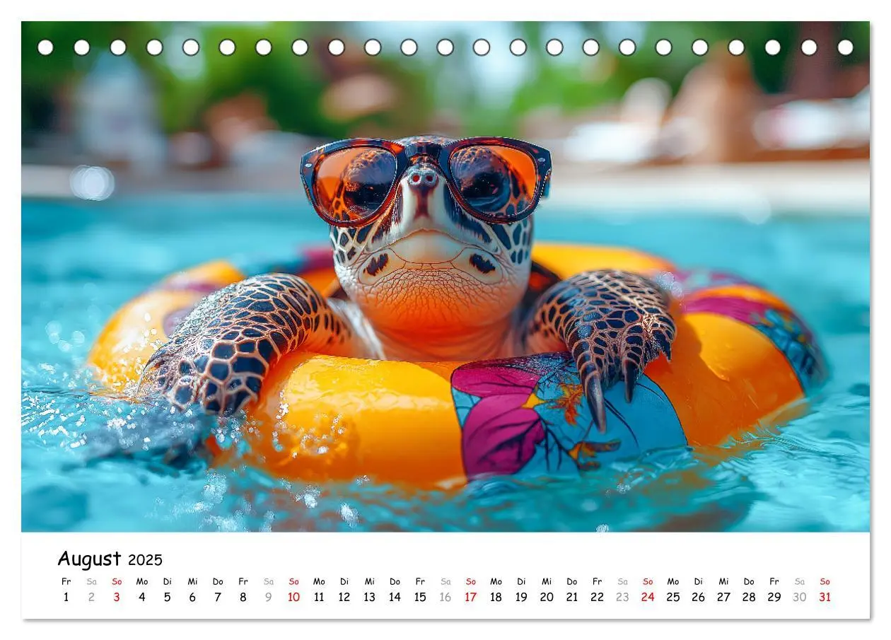 Bild: 9783457215890 | CHILL MAL - Entspannte Schildkröten beim Faulenzen (Tischkalender...