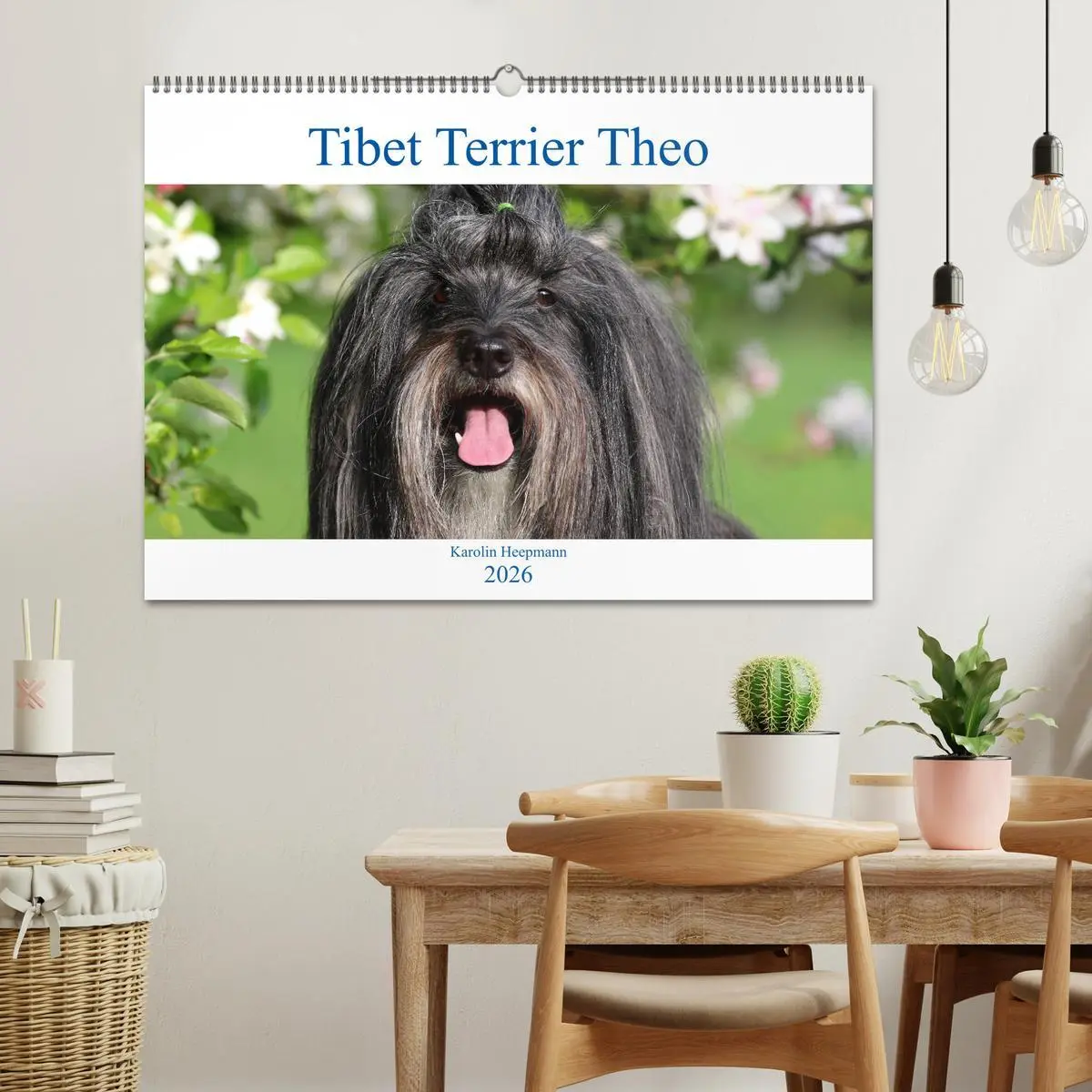Bild: 9783457765890 | Tibet Terrier Theo (Wandkalender 2026 DIN A2 quer), CALVENDO...