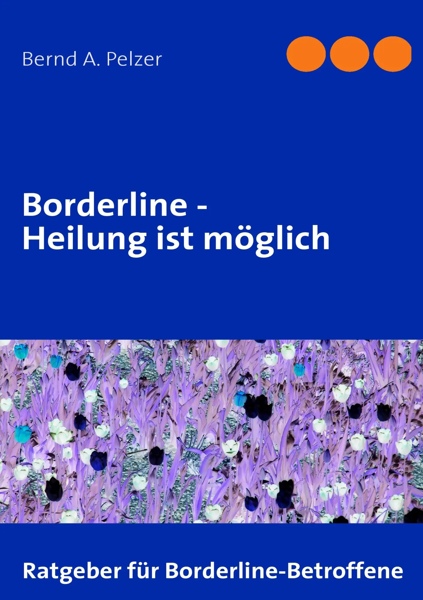 Cover: 9783839145890 | Borderline - Heilung ist möglich | Bernd A. Pelzer | Taschenbuch