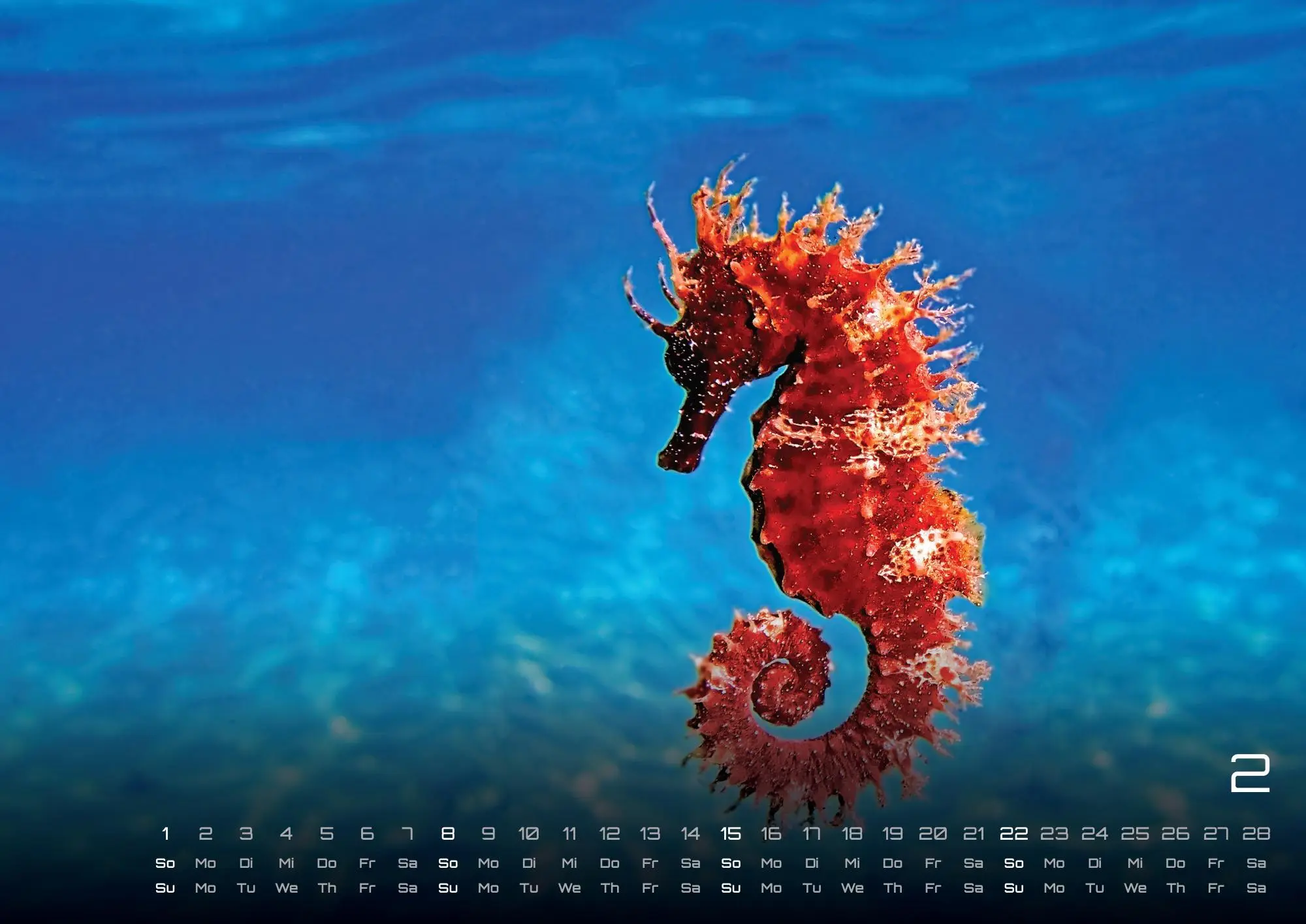 Bild: 9783986735890 | Sealife - verborgene Tiefen - 2026 - Kalender DIN A2 | GP-Fever. de