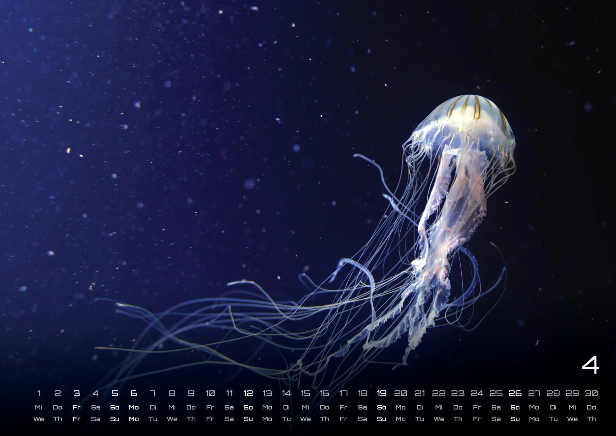 Bild: 9783986735890 | Sealife - verborgene Tiefen - 2026 - Kalender DIN A2 | GP-Fever. de