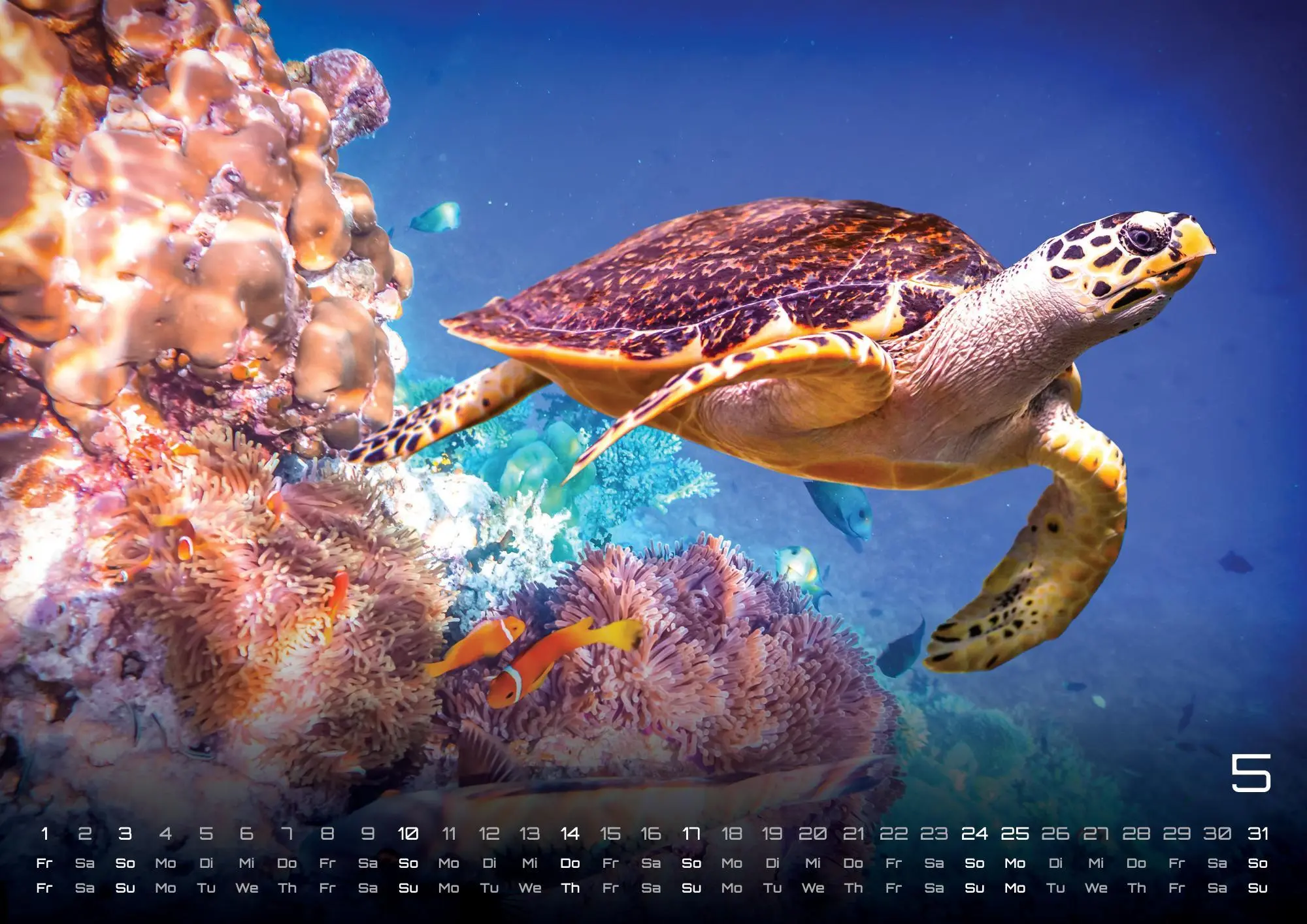 Bild: 9783986735890 | Sealife - verborgene Tiefen - 2026 - Kalender DIN A2 | GP-Fever. de