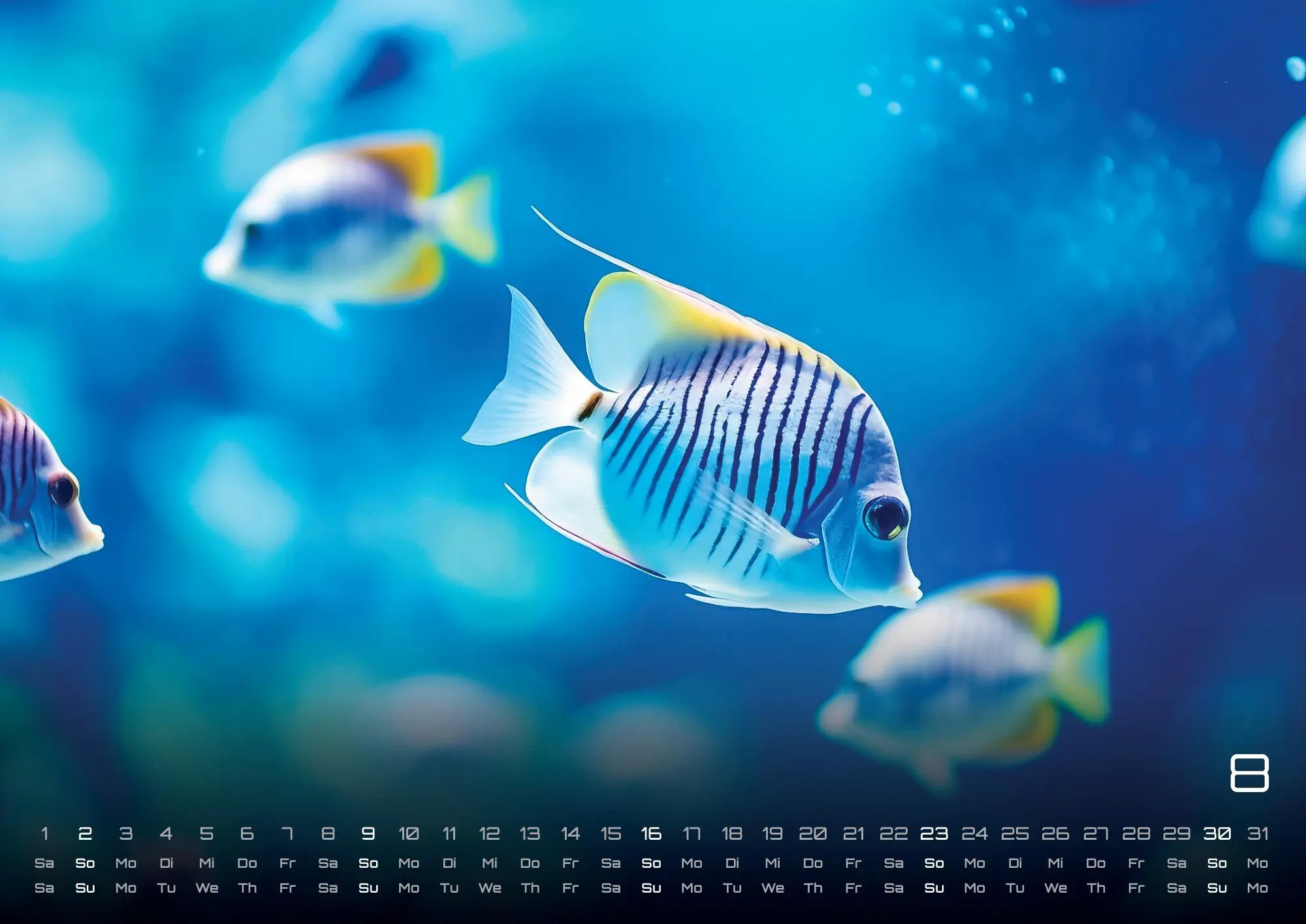 Bild: 9783986735890 | Sealife - verborgene Tiefen - 2026 - Kalender DIN A2 | GP-Fever. de