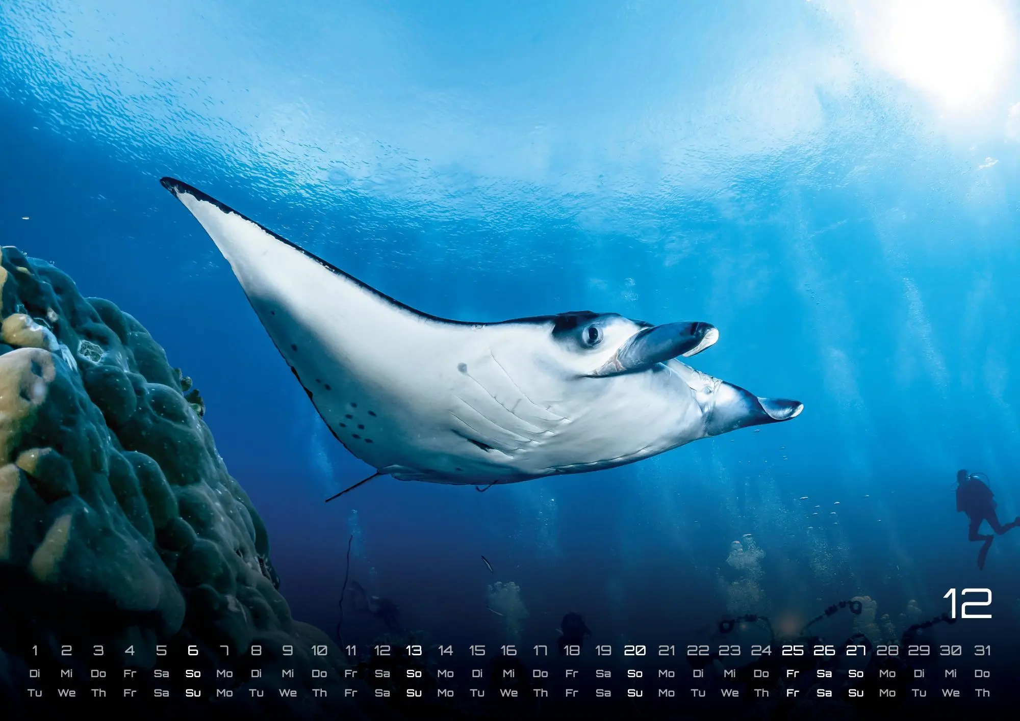 Bild: 9783986735890 | Sealife - verborgene Tiefen - 2026 - Kalender DIN A2 | GP-Fever. de