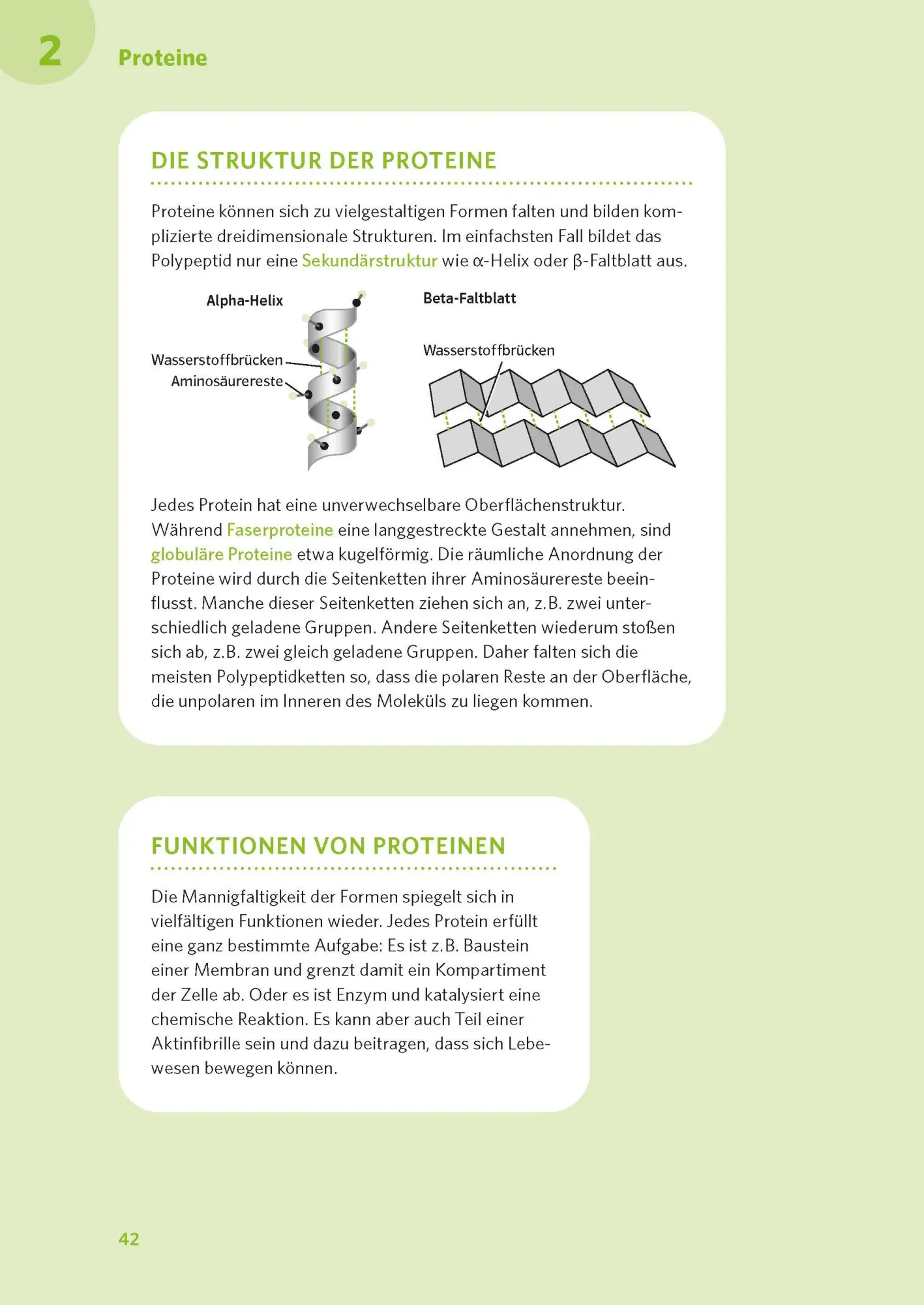 Bild: 9783125625990 | PONS Abi-Check XXL Biologie | Taschenbuch | PONS Abi-Check | 320 S.