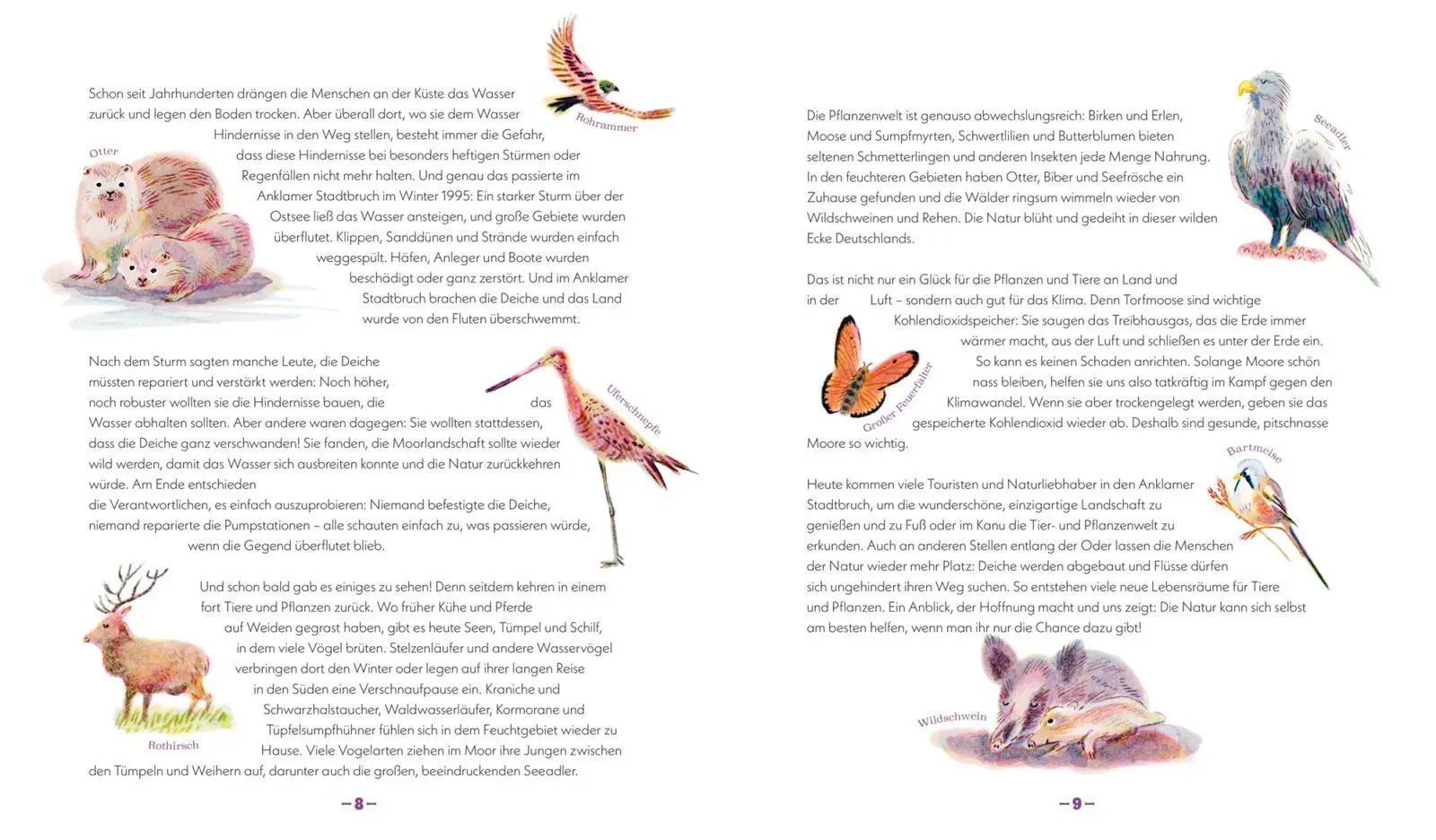 Bild: 9783551255990 | Die Natur kehrt zurück | Emily Hawkins | Buch | 96 S. | Deutsch | 2026