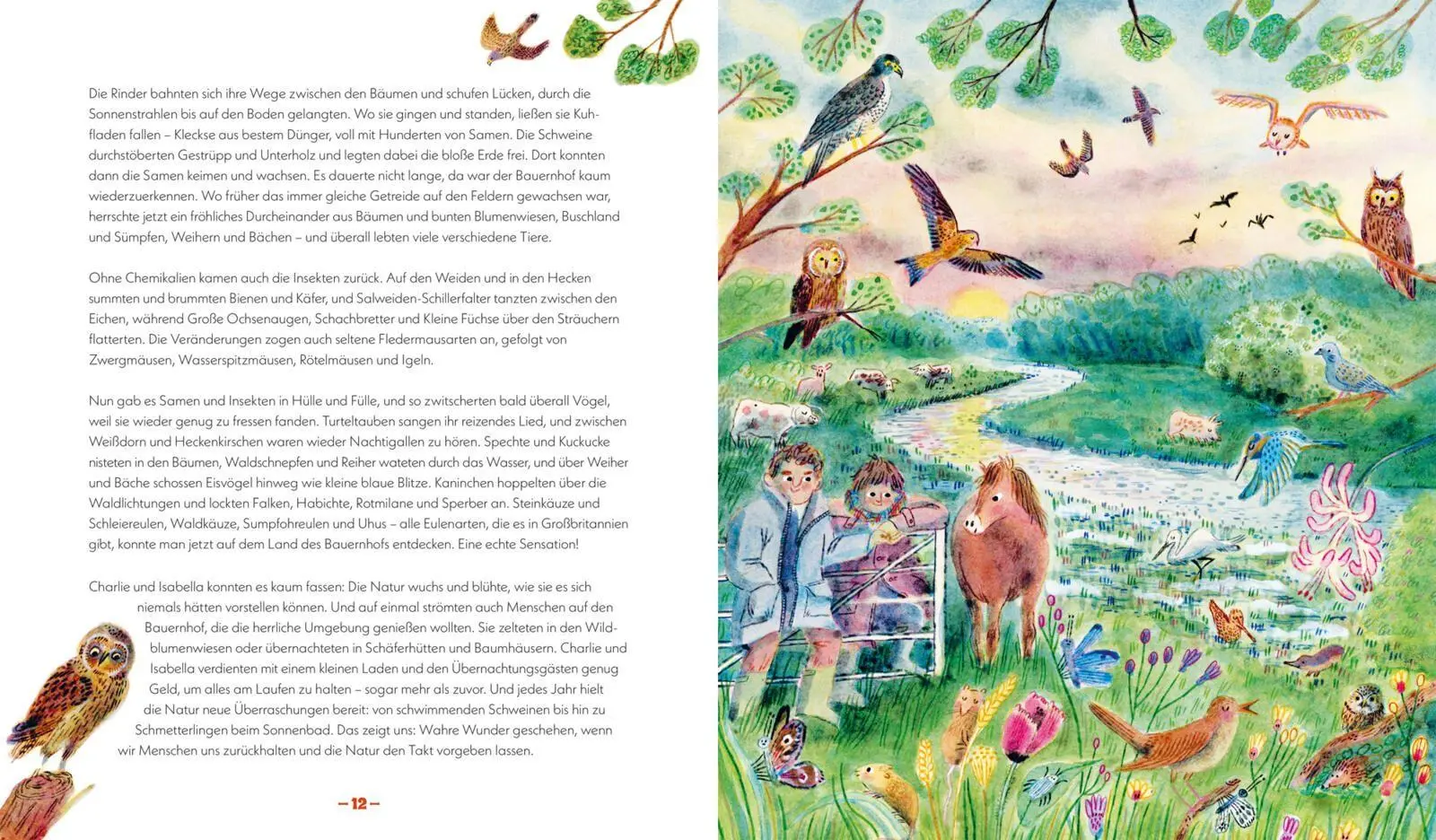 Bild: 9783551255990 | Die Natur kehrt zurück | Emily Hawkins | Buch | 96 S. | Deutsch | 2026