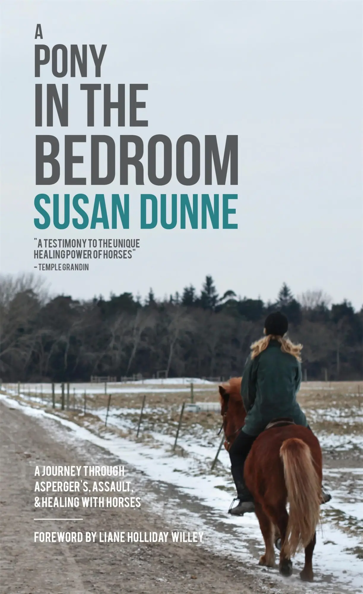 Cover: 9781849056090 | A Pony in the Bedroom | Susan Dunne | Taschenbuch | Englisch | 2015