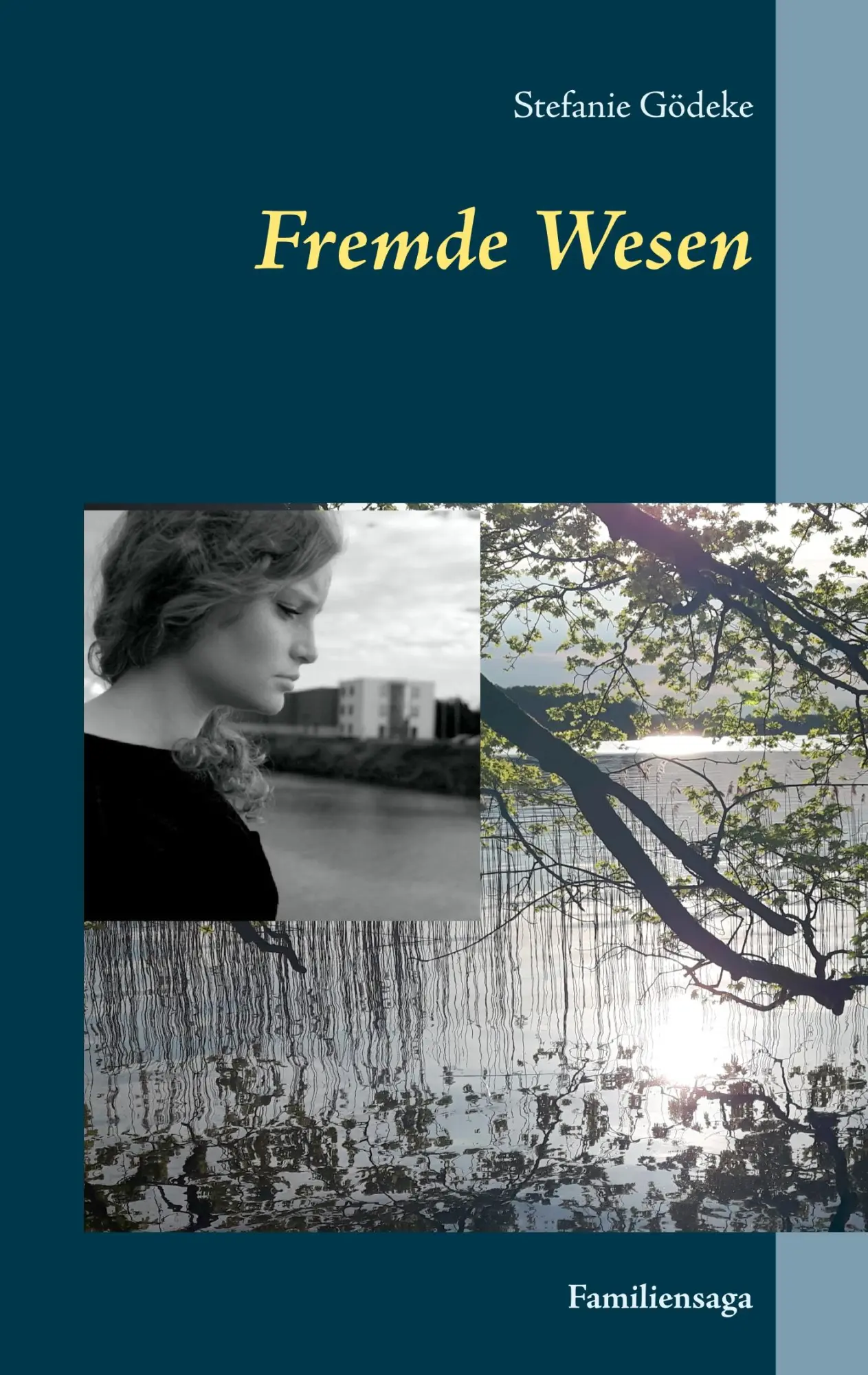 Cover: 9783752806090 | Fremde Wesen | Familiensaga | Stefanie Gödeke | Taschenbuch | 268 S.