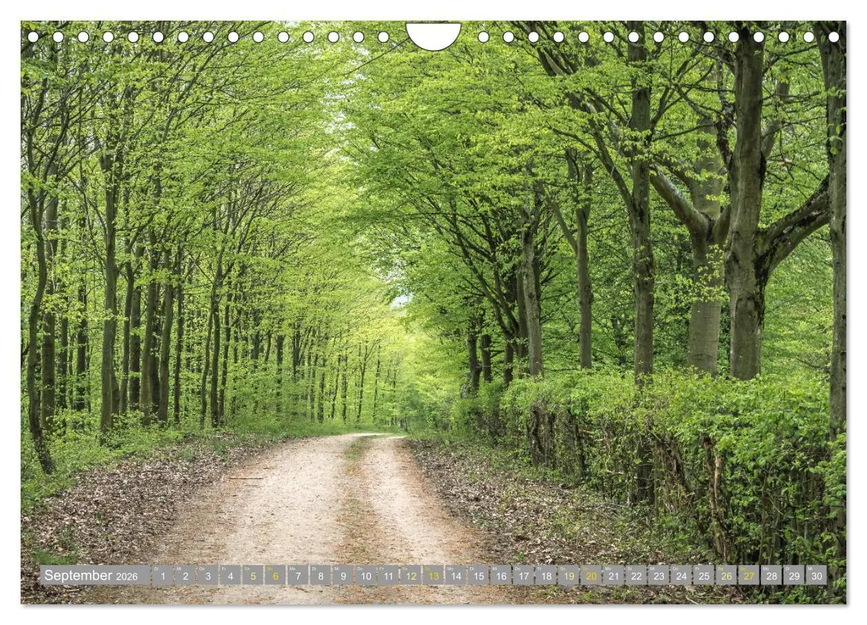 Bild: 9783457566190 | Wanderwege in Europa (Wandkalender 2026 DIN A4 quer), CALVENDO...