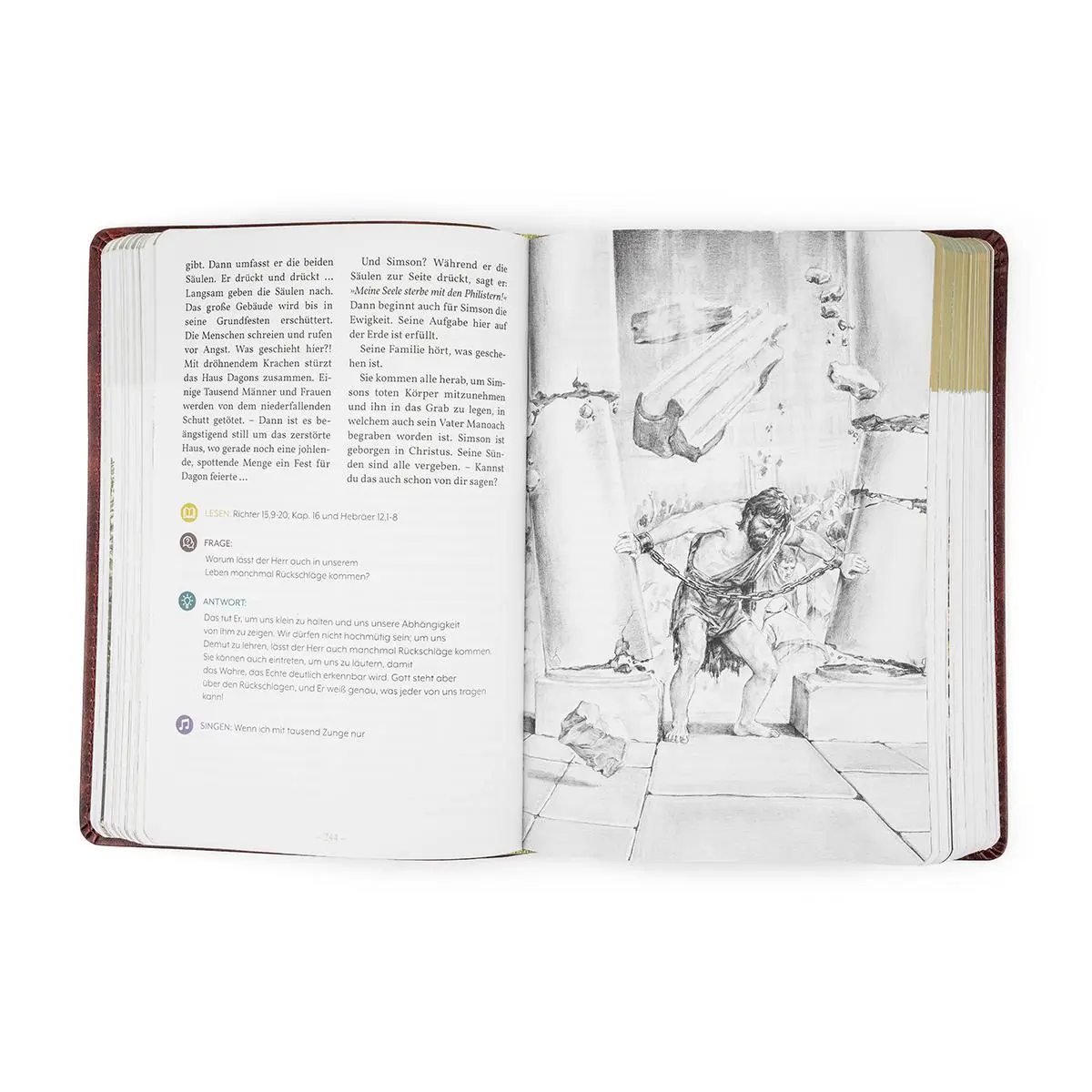 Bild: 9783989676190 | Andachten für die ganze Familie | Biblische Geschichten | Jansen