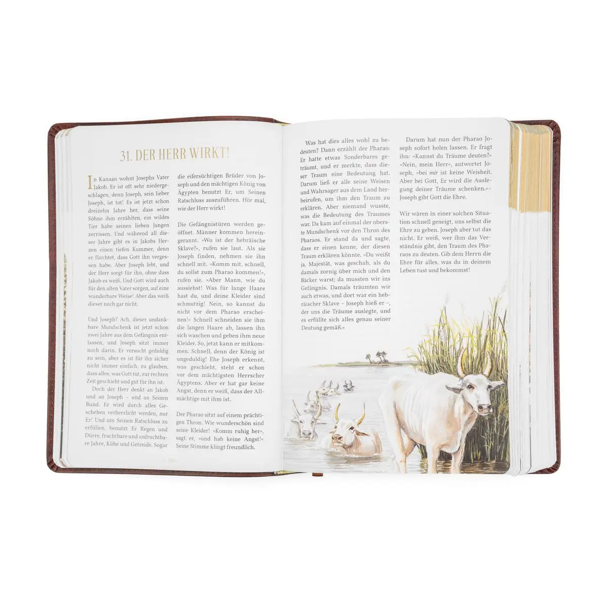 Bild: 9783989676190 | Andachten für die ganze Familie | Biblische Geschichten | Jansen