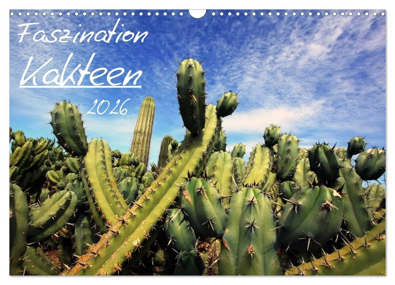 Cover: 9783516196290 | Faszination Kakteen (Wandkalender 2026 DIN A3 quer), CALVENDO...