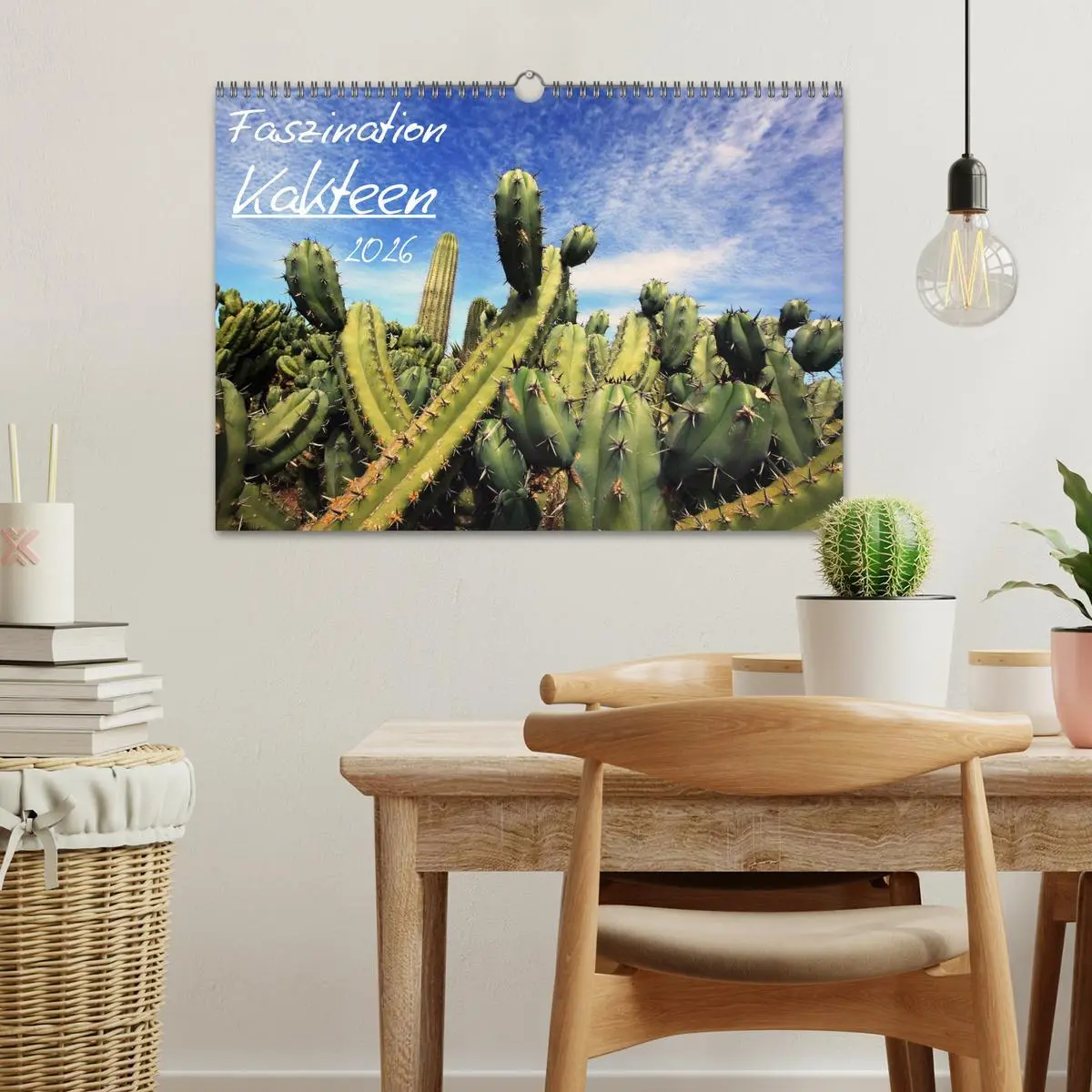 Bild: 9783516196290 | Faszination Kakteen (Wandkalender 2026 DIN A3 quer), CALVENDO...