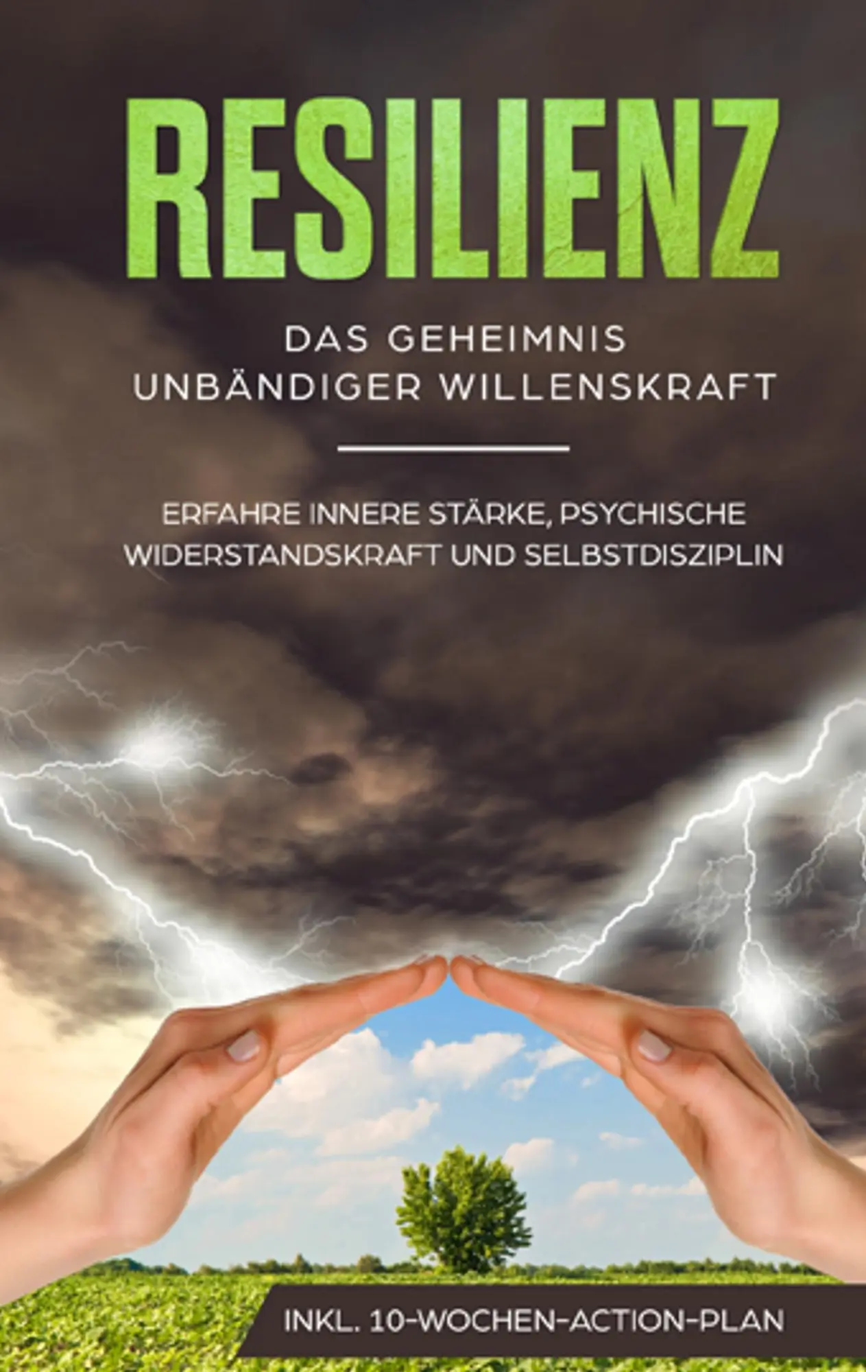 Cover: 9783749466290 | Resilienz | Das Geheimnis unbändiger Willenskraft | Neele Blumenberg