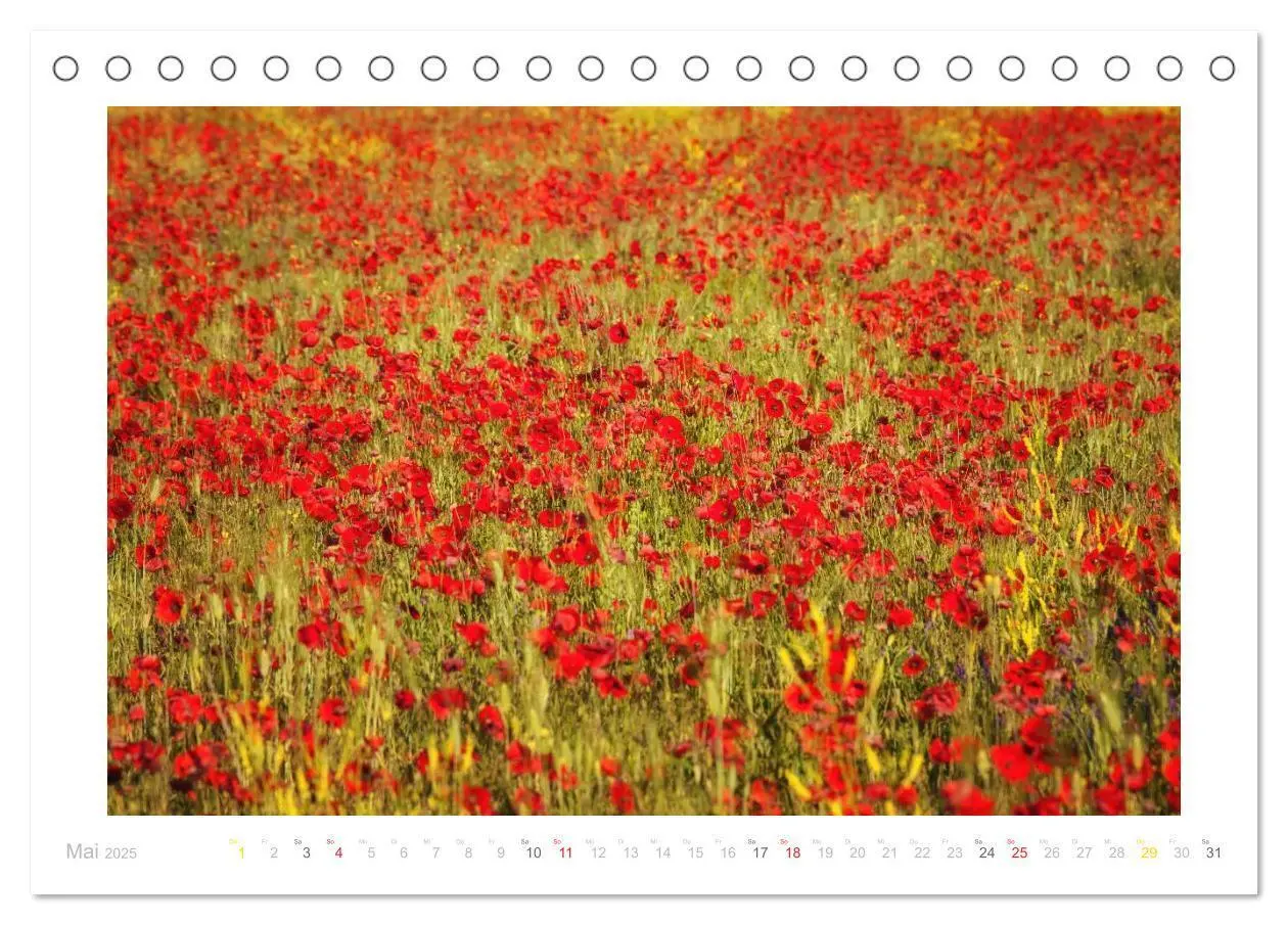 Bild: 9783435696390 | Streifzug durch die Provence (Tischkalender 2025 DIN A5 quer),...