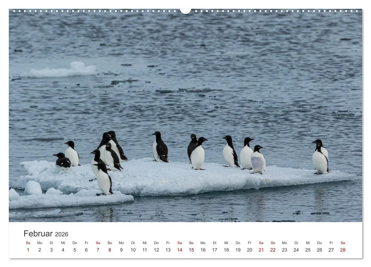 Bild: 9783457546390 | Spitzbergen - Eis, Eisbären und mehr (Wandkalender 2026 DIN A2...
