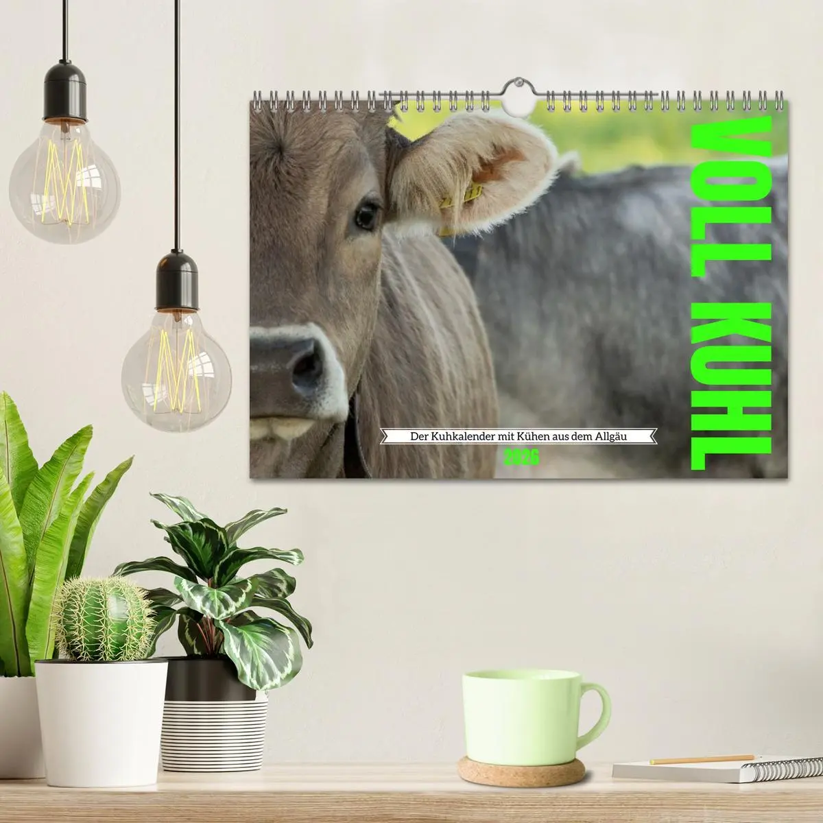 Bild: 9783516626490 | Voll kuhl - der Kuhkalender mit Kühen aus dem Allgäu (Wandkalender...