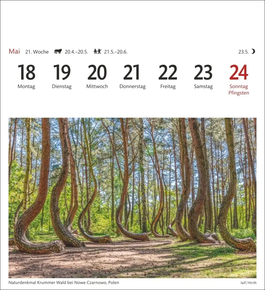 Bild: 9783840036590 | Traumziele Sehnsuchtskalender 2026 - Wochenkalender mit 53 Postkarten