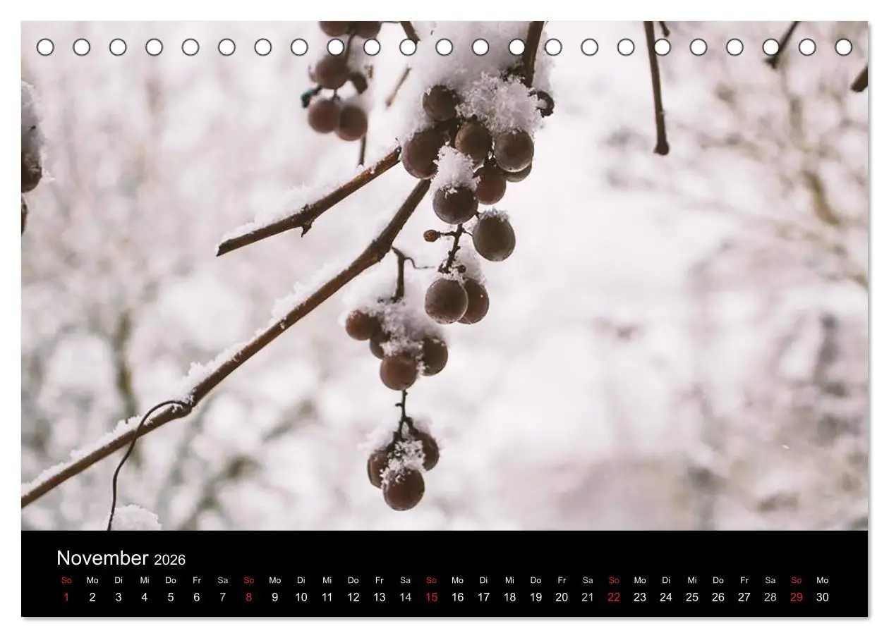 Bild: 9783516086690 | Meine Heimat Westerwald (Tischkalender 2026 DIN A5 quer), CALVENDO...