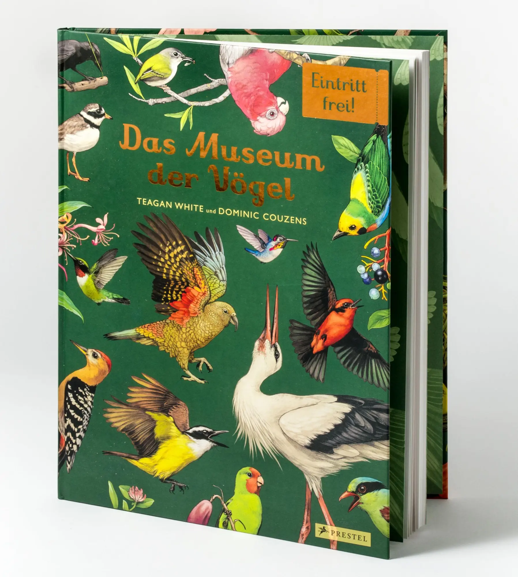 Das Museum der Vögel