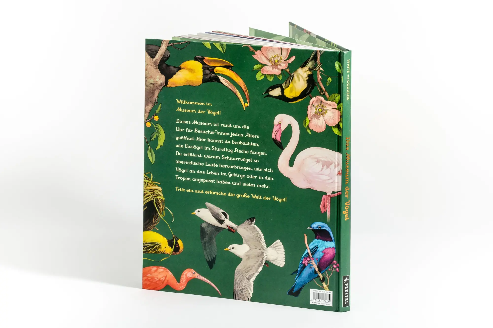 Bild: 9783791376790 | Das Museum der Vögel | Dominic Couzens (u. a.) | Buch | 112 S. | 2026
