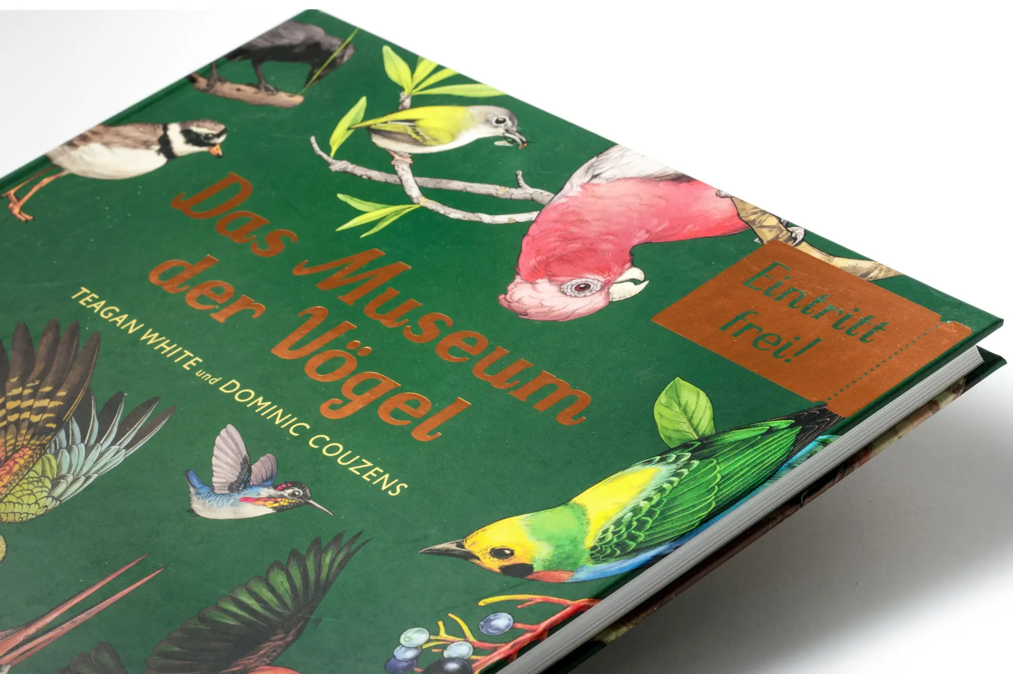 Bild: 9783791376790 | Das Museum der Vögel | Dominic Couzens (u. a.) | Buch | 112 S. | 2026