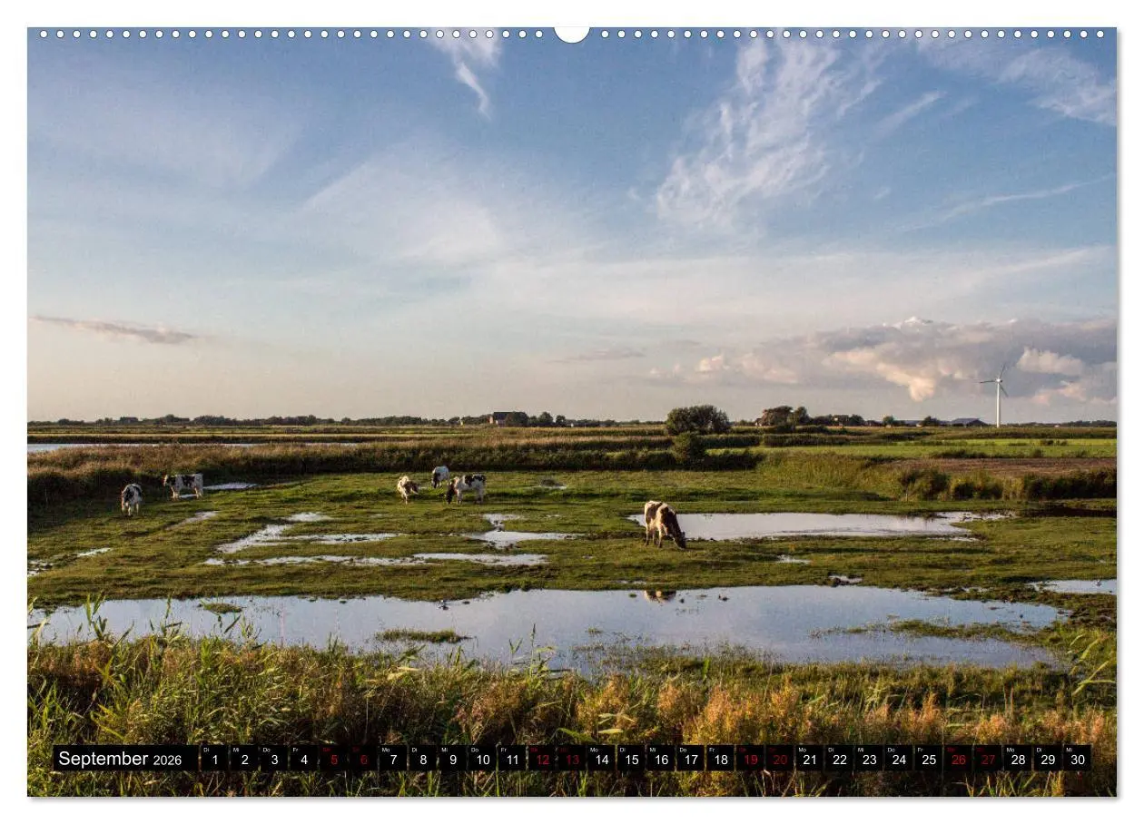 Bild: 9783457736890 | Nordseeinsel Pellworm 2026 (hochwertiger Premium Wandkalender 2026...
