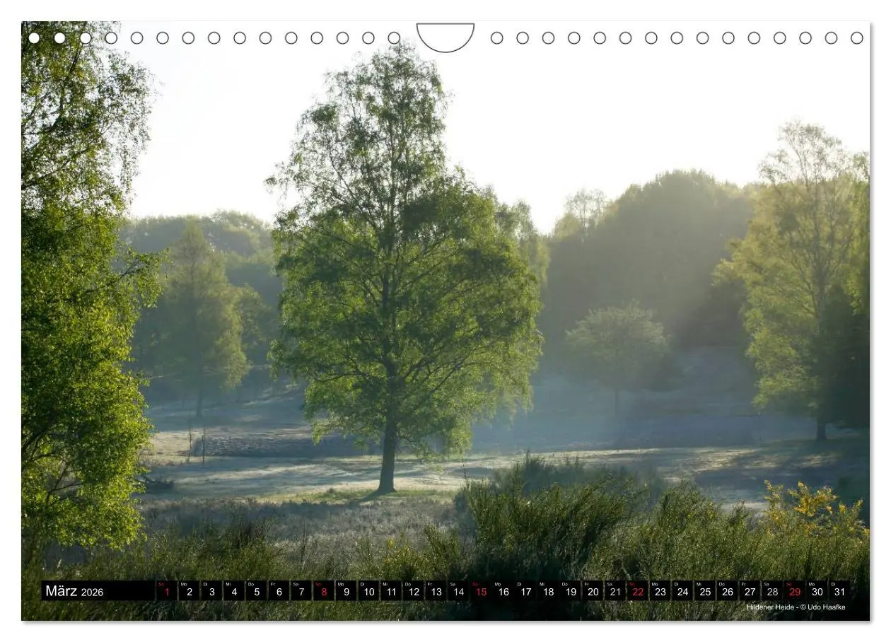 Bild: 9783516066890 | Hildener Bilderbogen 2026 (Wandkalender 2026 DIN A4 quer), CALVENDO...