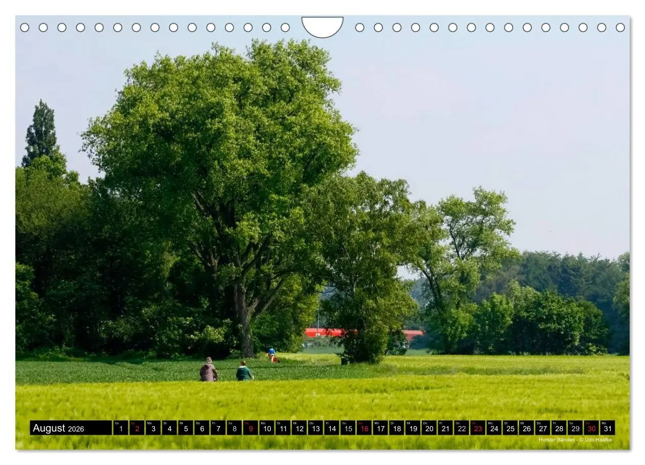 Bild: 9783516066890 | Hildener Bilderbogen 2026 (Wandkalender 2026 DIN A4 quer), CALVENDO...
