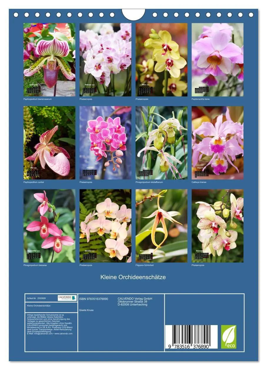 Bild: 9783516376890 | Kleine Orchideenschätze (Wandkalender 2026 DIN A4 hoch), CALVENDO...