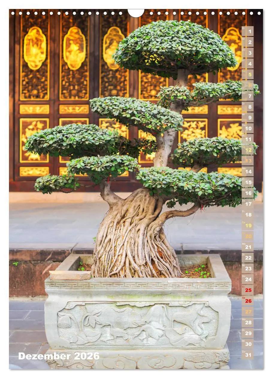 Bild: 9783516296990 | Bonsai: Gartenkunst im Kleinen (Wandkalender 2026 DIN A3 hoch),...
