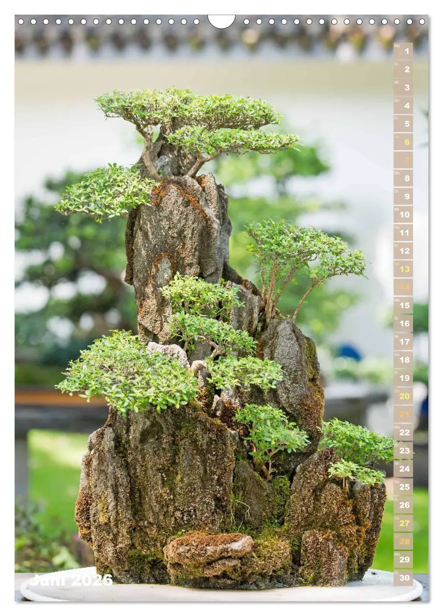 Bild: 9783516296990 | Bonsai: Gartenkunst im Kleinen (Wandkalender 2026 DIN A3 hoch),...