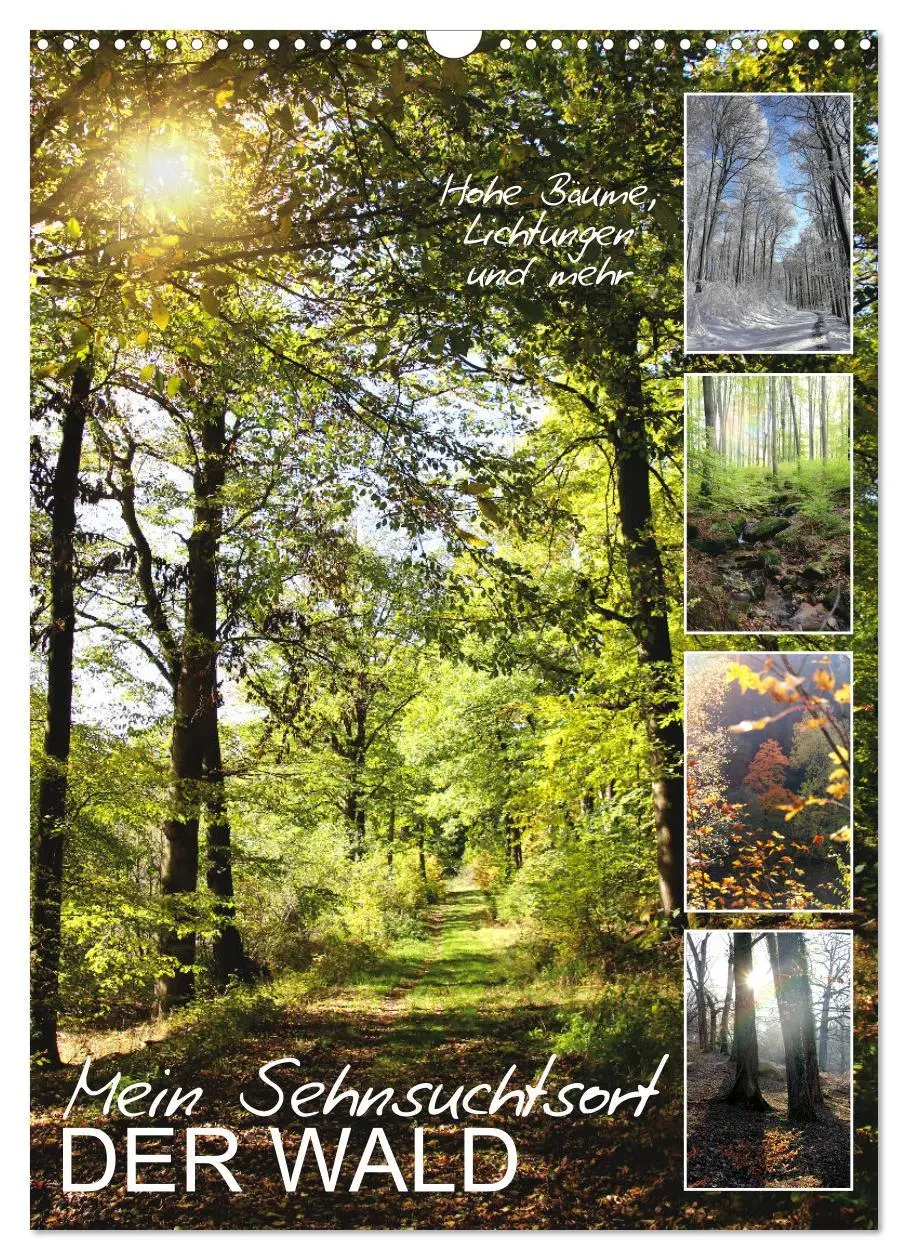 Cover: 9783516366990 | Mein Sehnsuchtsort, der Wald (Wandkalender 2026 DIN A3 hoch),...