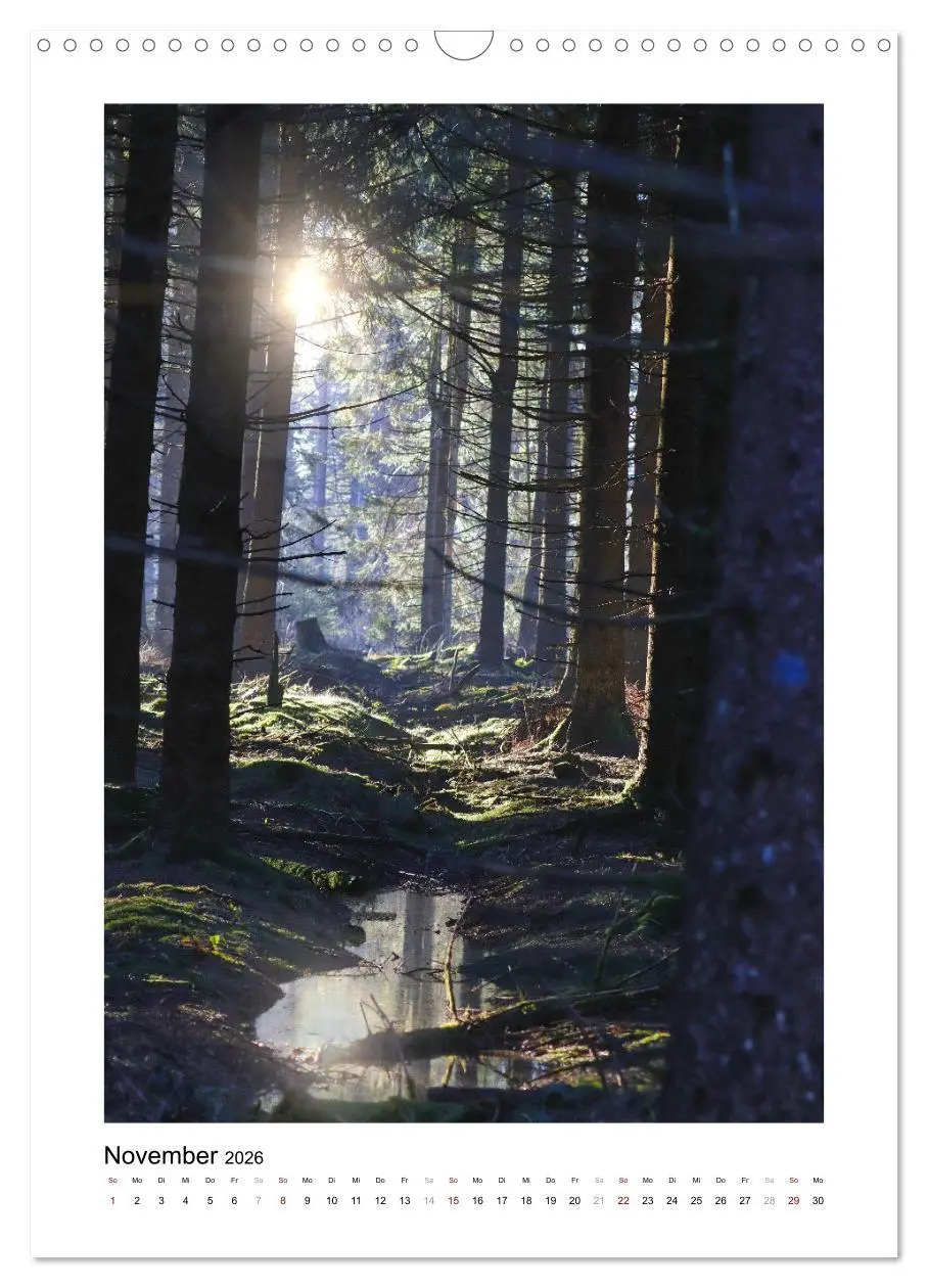 Bild: 9783516366990 | Mein Sehnsuchtsort, der Wald (Wandkalender 2026 DIN A3 hoch),...