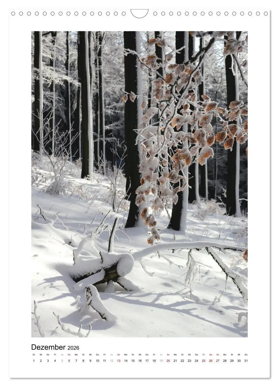 Bild: 9783516366990 | Mein Sehnsuchtsort, der Wald (Wandkalender 2026 DIN A3 hoch),...