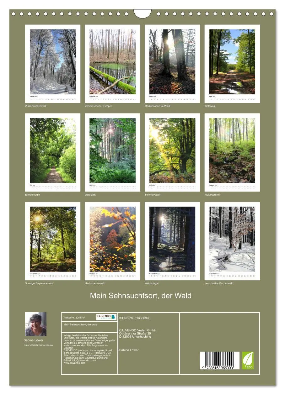 Bild: 9783516366990 | Mein Sehnsuchtsort, der Wald (Wandkalender 2026 DIN A3 hoch),...