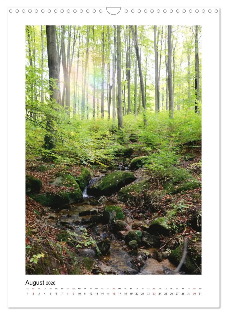 Bild: 9783516366990 | Mein Sehnsuchtsort, der Wald (Wandkalender 2026 DIN A3 hoch),...