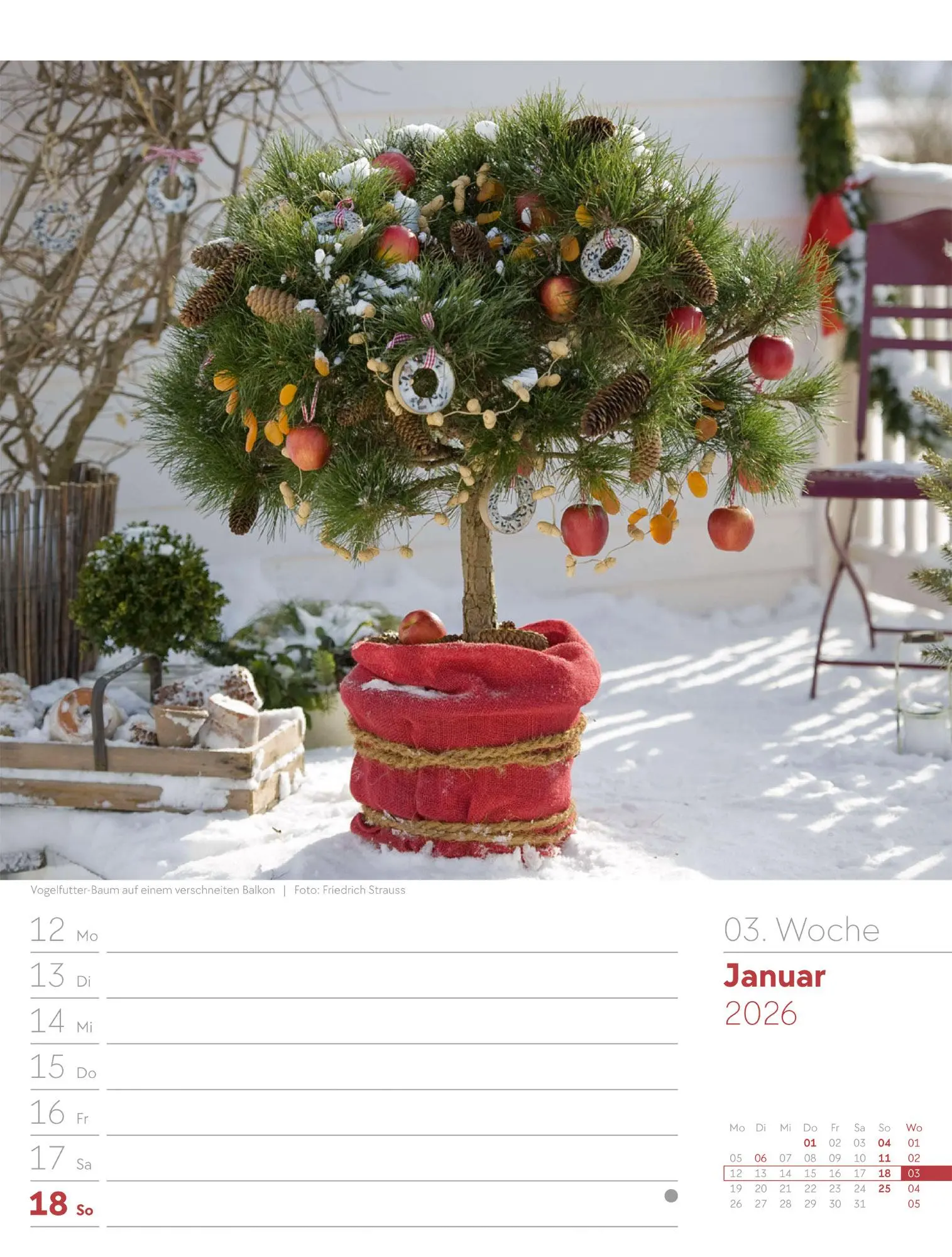 Bild: 9783838426990 | Gartenglück - Wochenplaner Kalender 2026 | Ackermann Kunstverlag GmbH